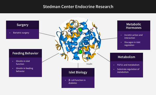 Endocrine Research