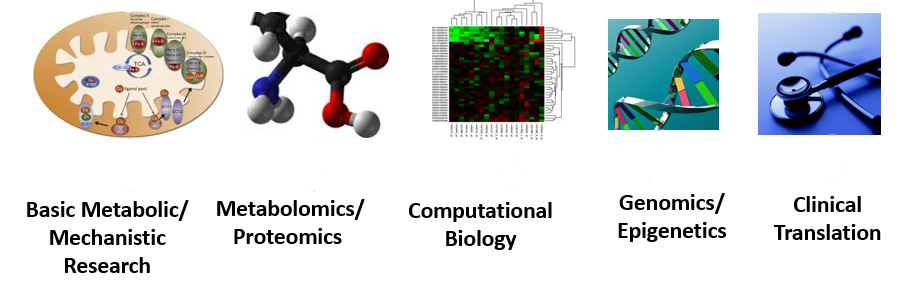 DMPI Research Sections