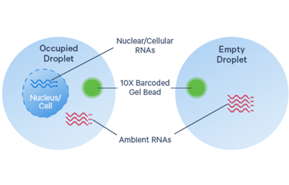 Ambient RNA Image via 10x - 466x267