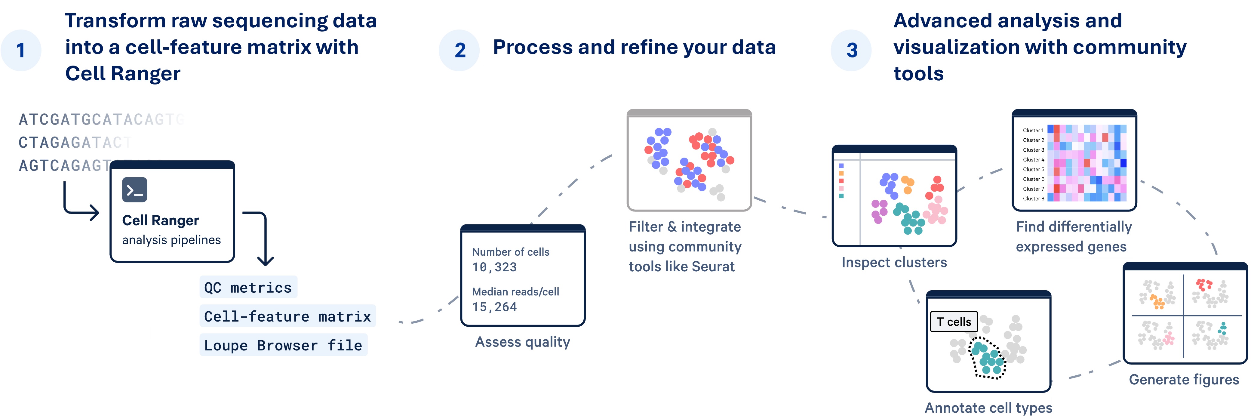 Single Cell Analysis Workflow - Overview