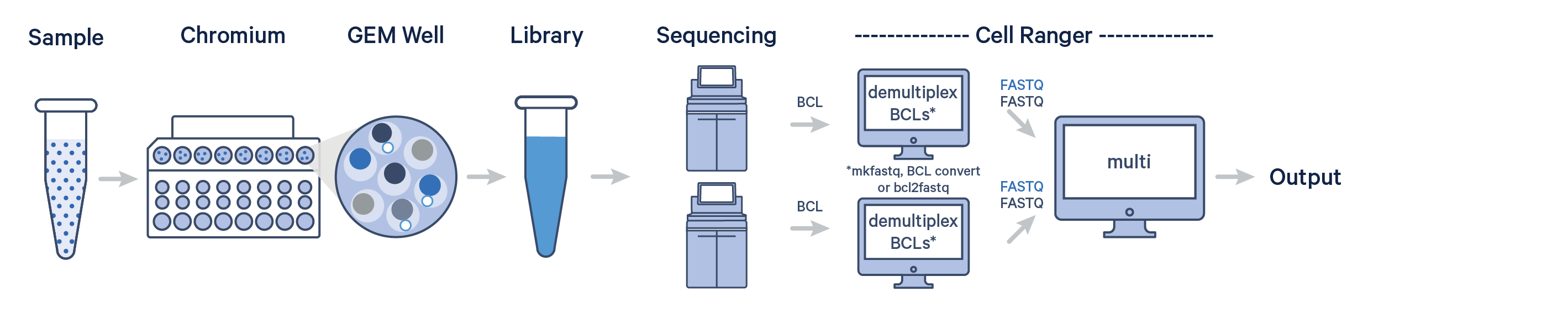 Single Cell Workflow