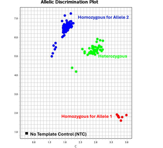 Taqman Allelic Discrimination Plot - smaller