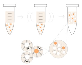 Illumina General Sample Workflow Image