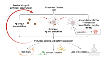 Alzheimer's Disease Schematic Figure