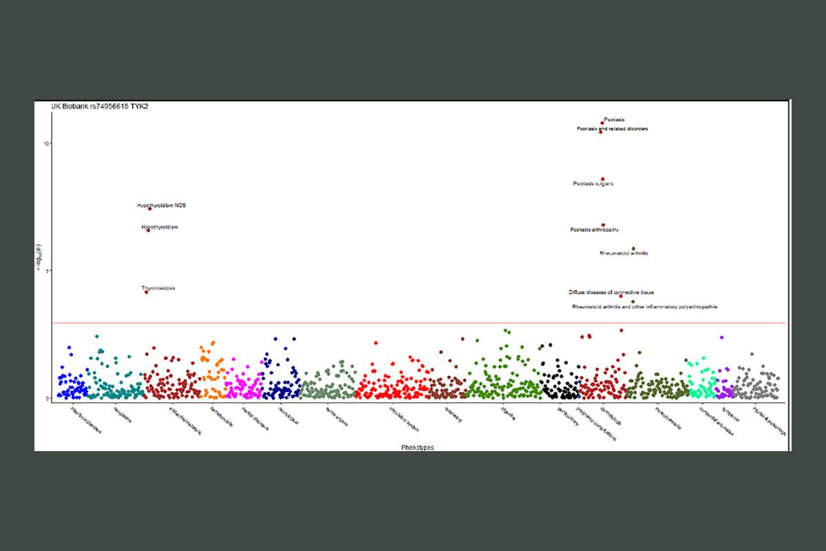 Phenome-Wide Association Study of Severe COVID-19 Genetic Risk Variants
