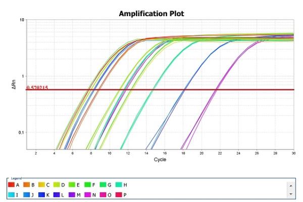 MGC Amplification Plot
