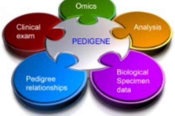 Pedigene Database