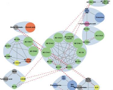 Maternal fasting metabolite subnetworks associated with newborn SSF