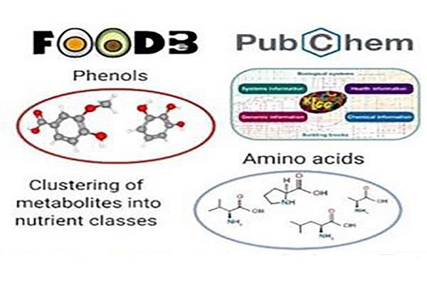 Food Phenols Article