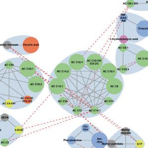 Maternal fasting metabolite subnetworks associated with newborn SSF
